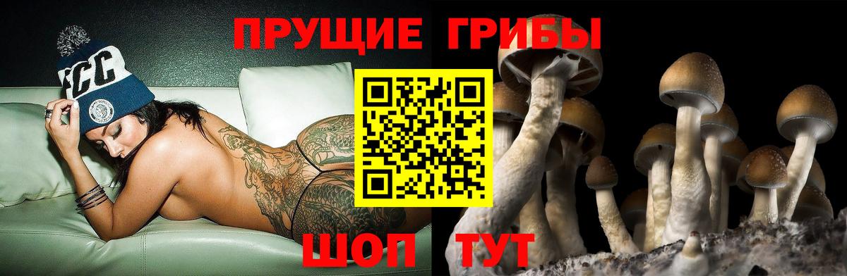 Галлюциногенные грибы ЛСД  Псилоцибиновые грибы MAGIC MUSHROOMS  Северобайкальск  Вход с VPN 